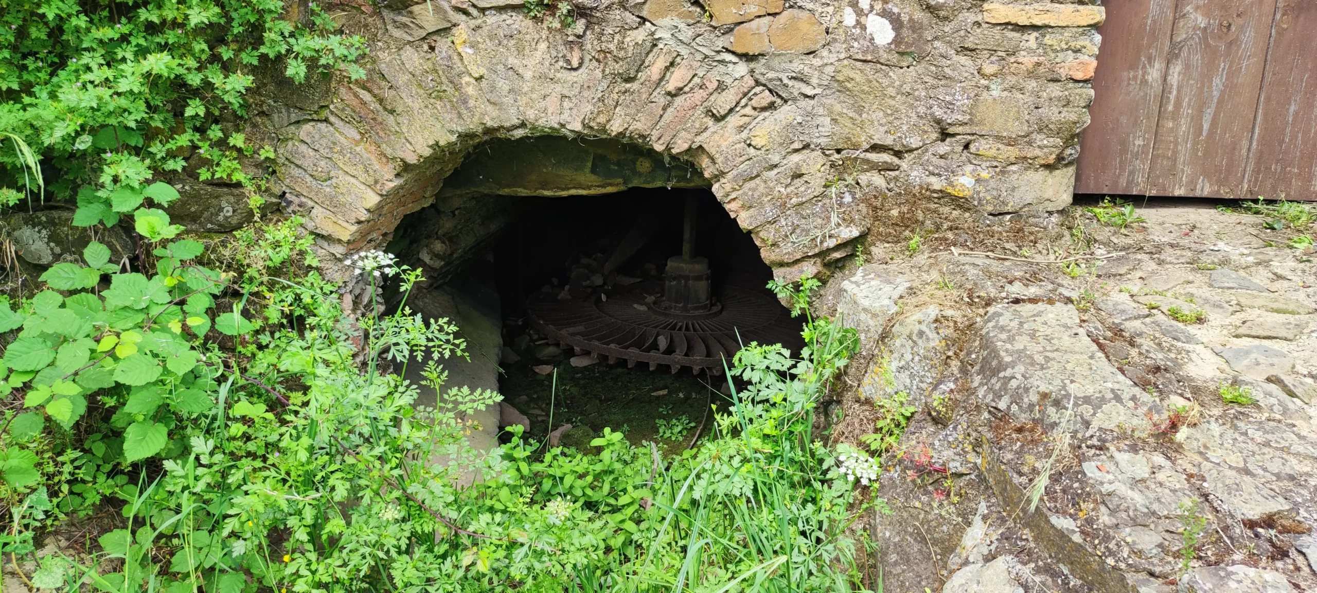 ruta molinos beas