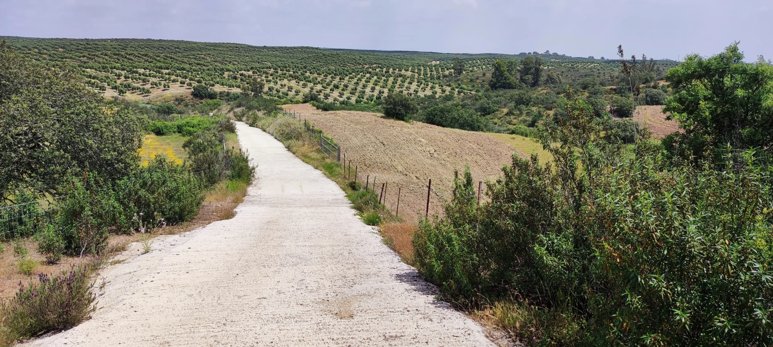 Ruta al Paraje El Labradillo (Beas)