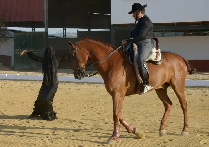 Caballos Errantes