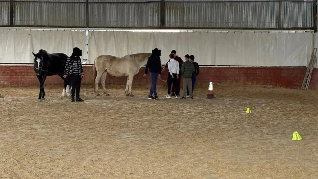 taller coaching caballos