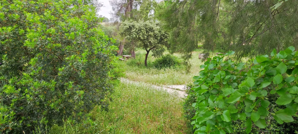 ruta molinos agua beas