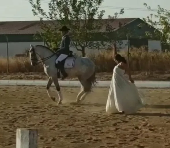 Caballos Errantes