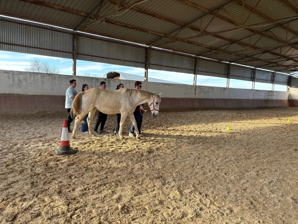 taller coaching caballos