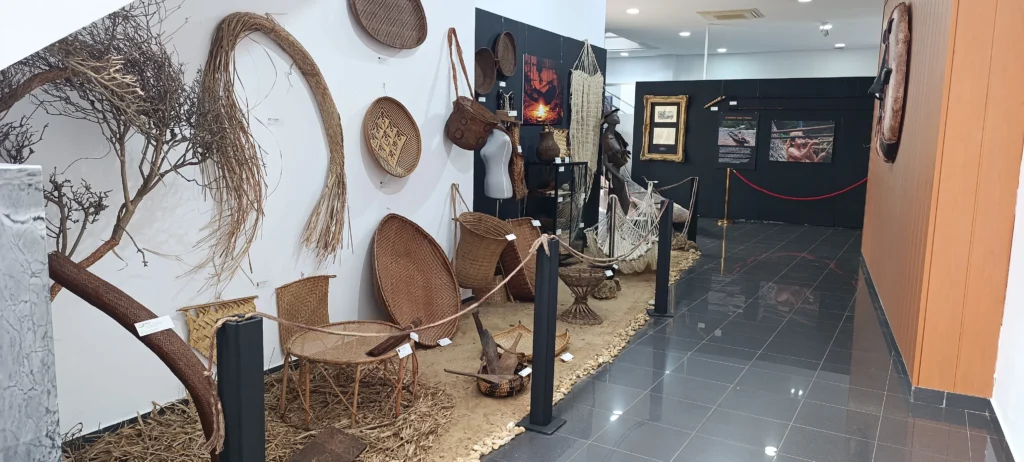 Amazonas Indígena (San Juan del Puerto)