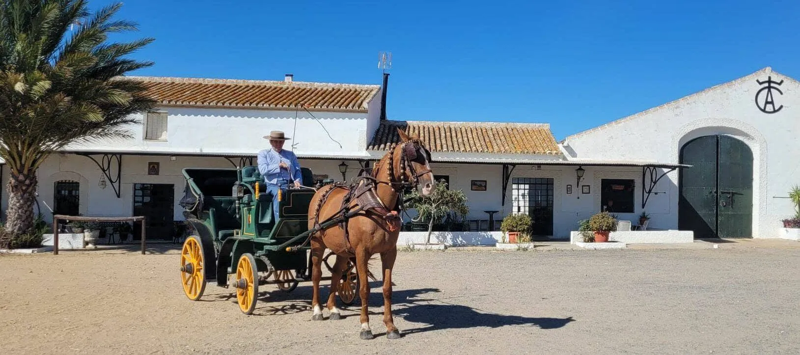 experiencia ganadera en la campiña