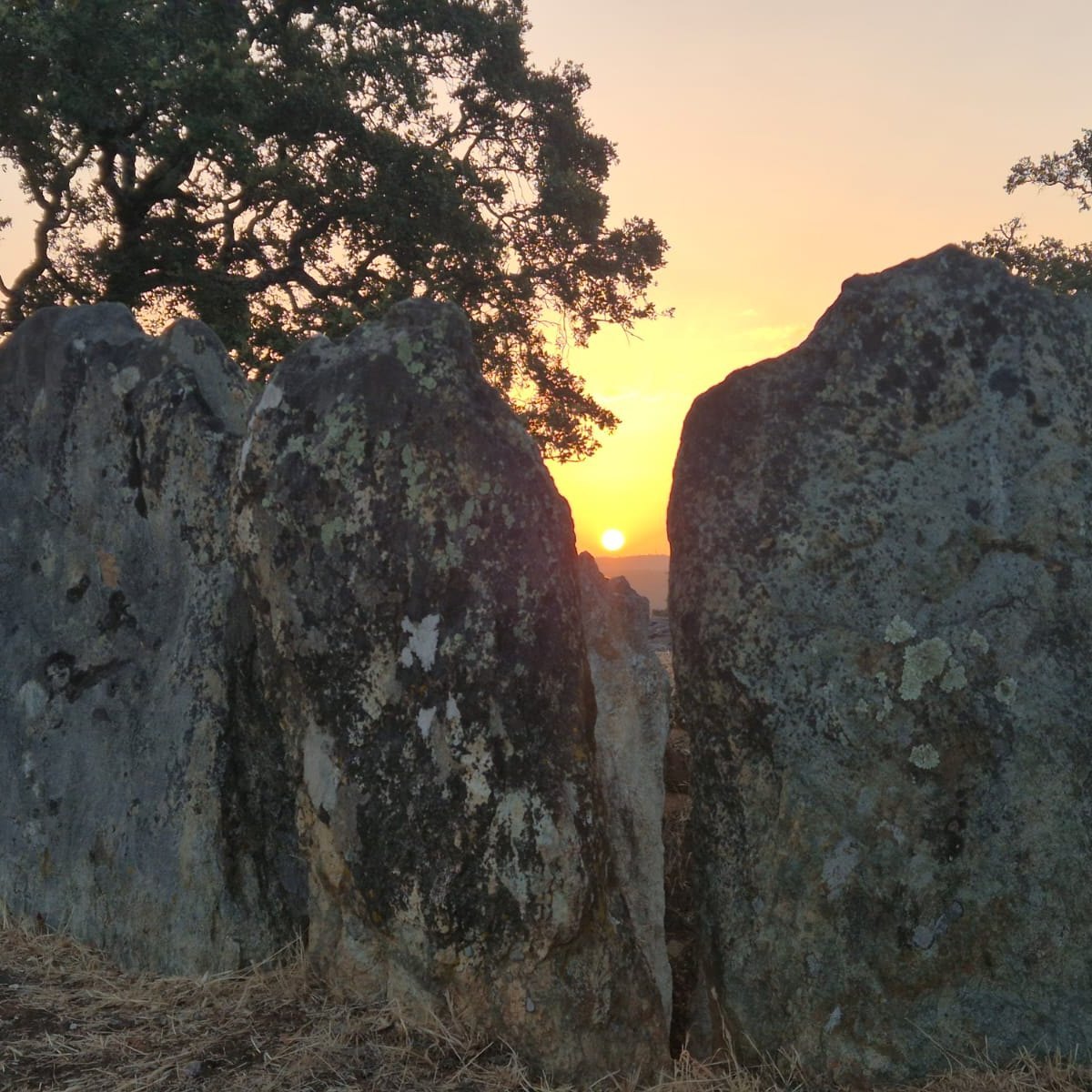 Dólmenes de Los Gabrieles (Valverde del Camino)