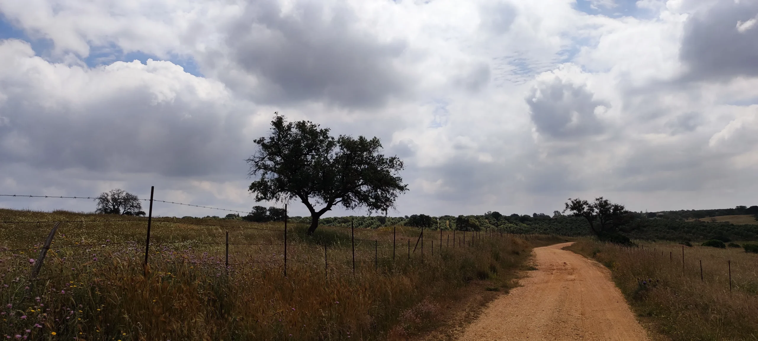 ruta molinos agua beas