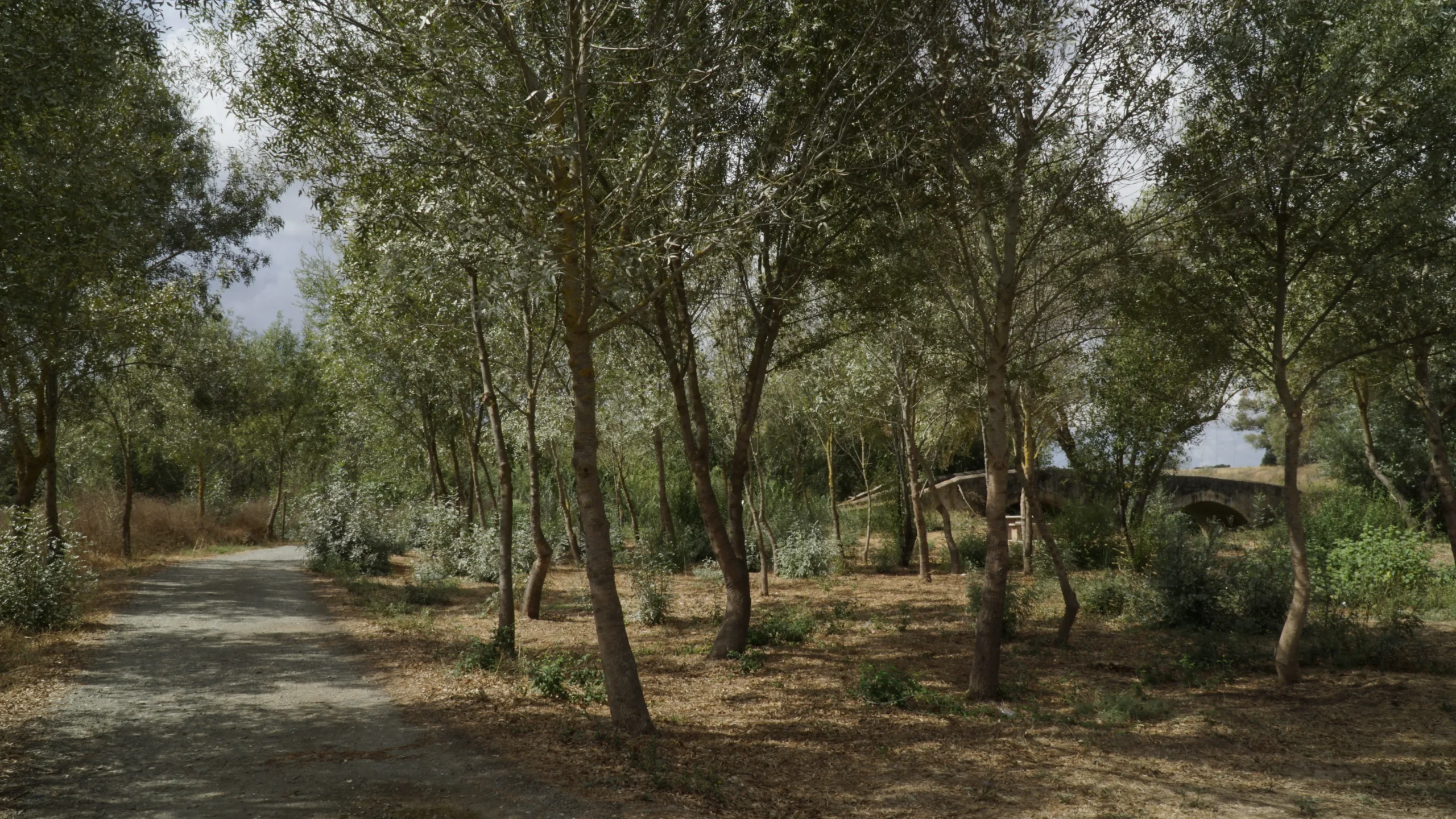 Puente Romano del Arroyo Candón