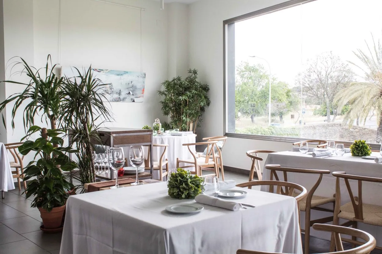 Experiencia Gastronómica en el Restaurante Casa Dirección