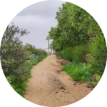 Valverde del camino