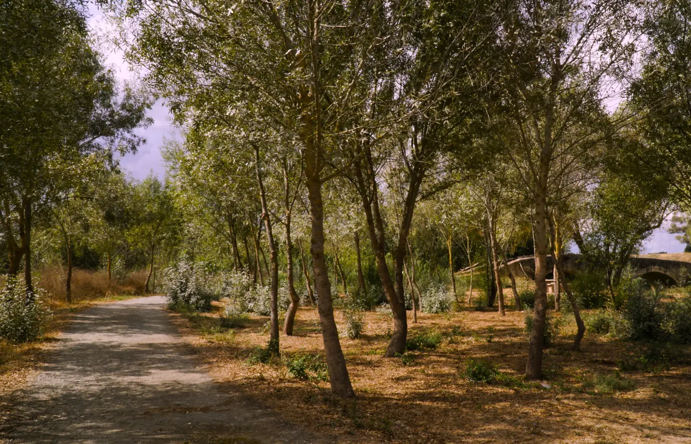 Sendero Puerta Verde
