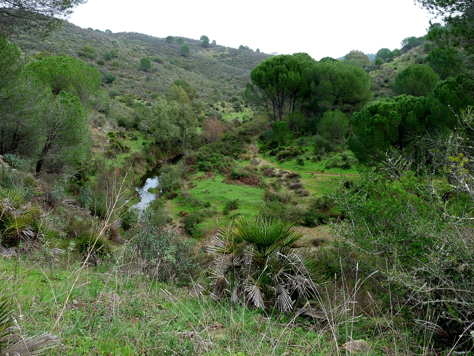 Pantano casa carabales