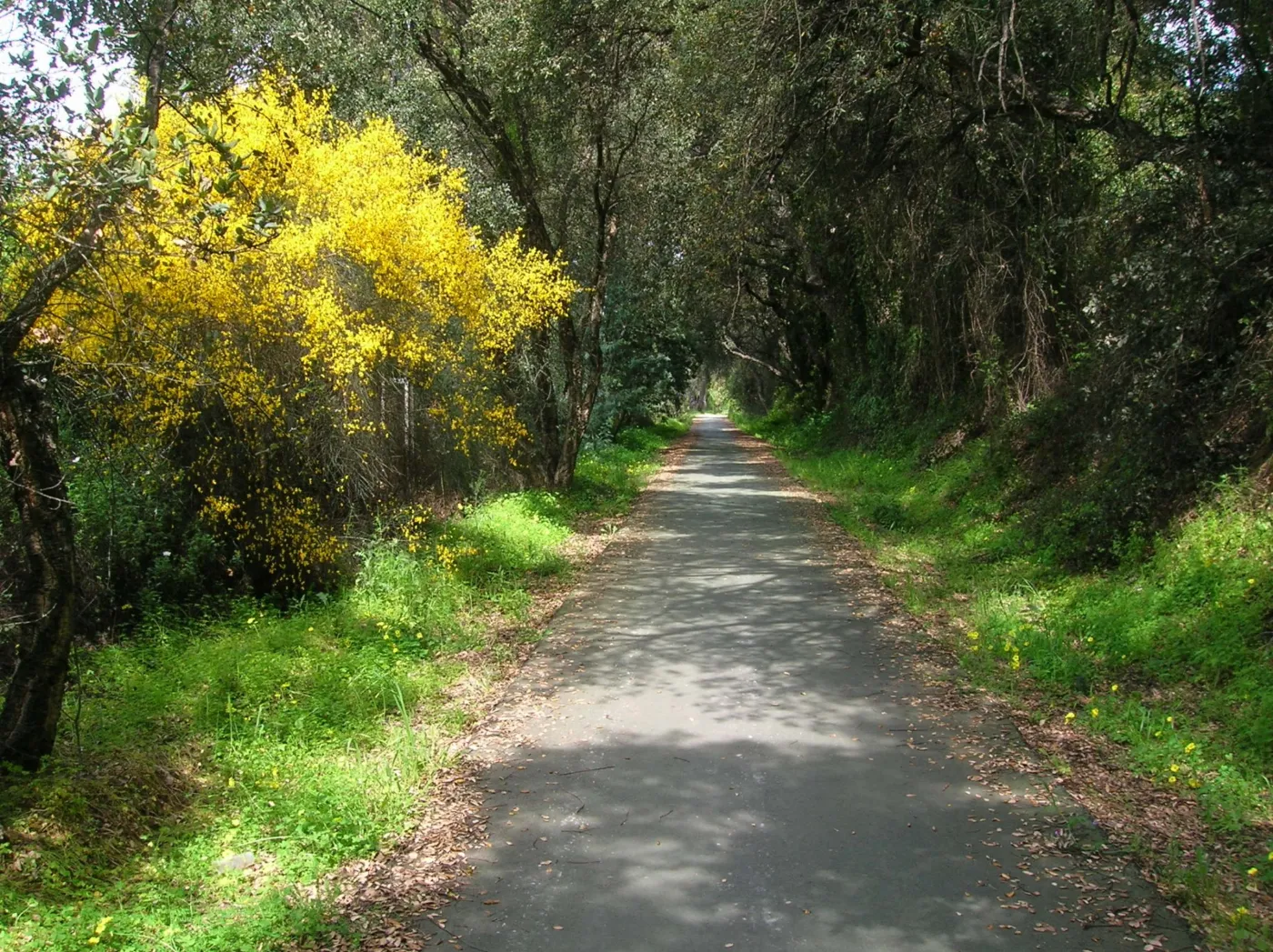 Parrilleja y Via Verde